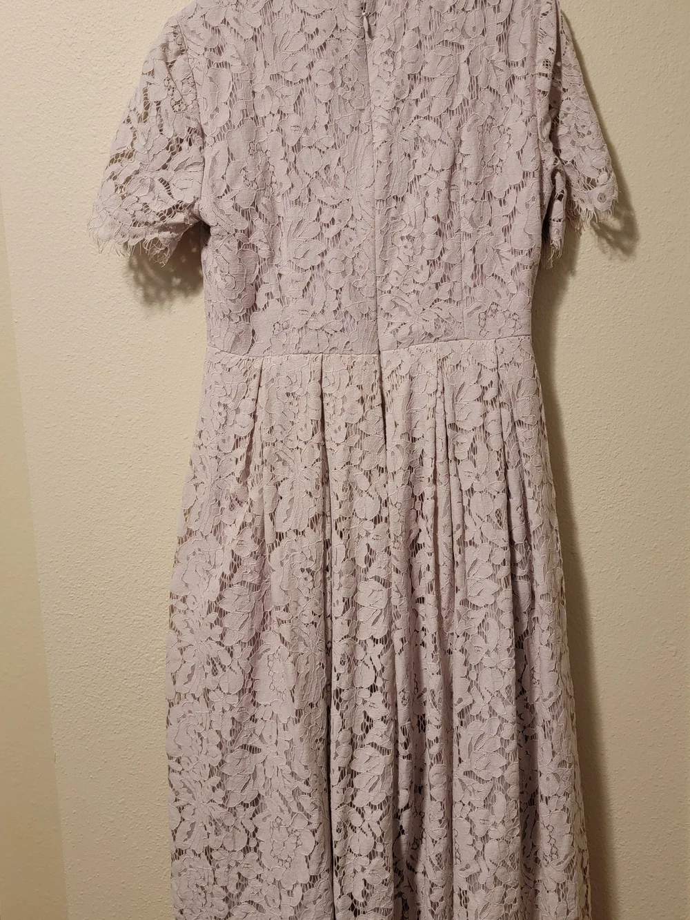 Rachel Parcell Lace Fit And Flare Dress